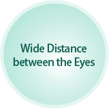 Wide Distance between the Eyes