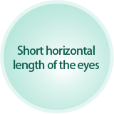 Short horizontal length of the eyes